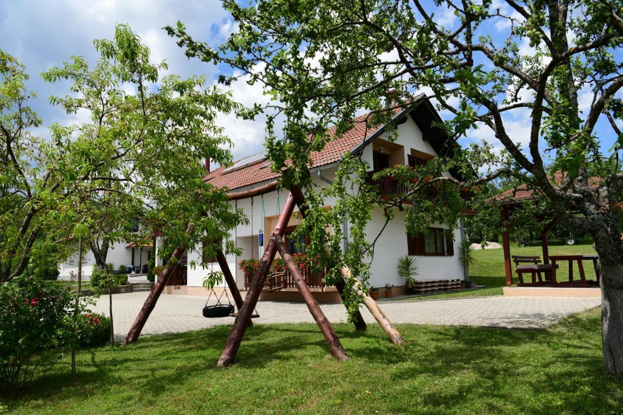 Guesthouse Ante Hodak セリステ・ドゥレズニツコ エクステリア 写真