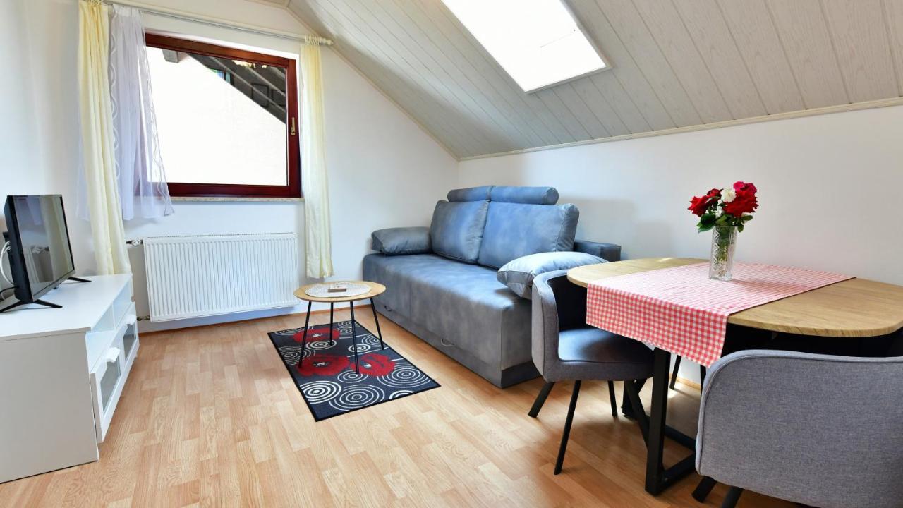 Guesthouse Ante Hodak セリステ・ドゥレズニツコ エクステリア 写真