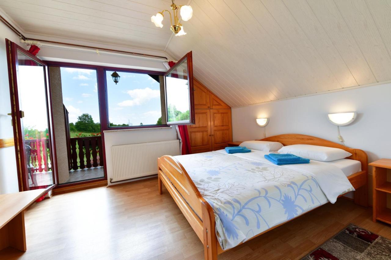 Guesthouse Ante Hodak セリステ・ドゥレズニツコ エクステリア 写真