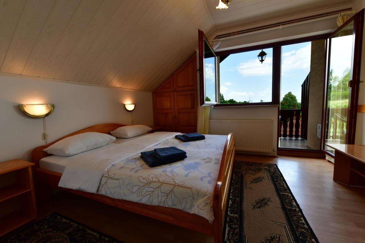 Guesthouse Ante Hodak セリステ・ドゥレズニツコ エクステリア 写真