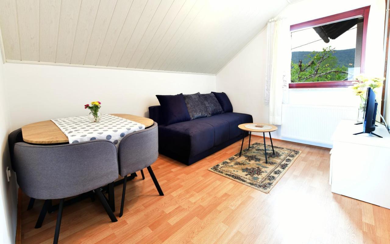Guesthouse Ante Hodak セリステ・ドゥレズニツコ エクステリア 写真