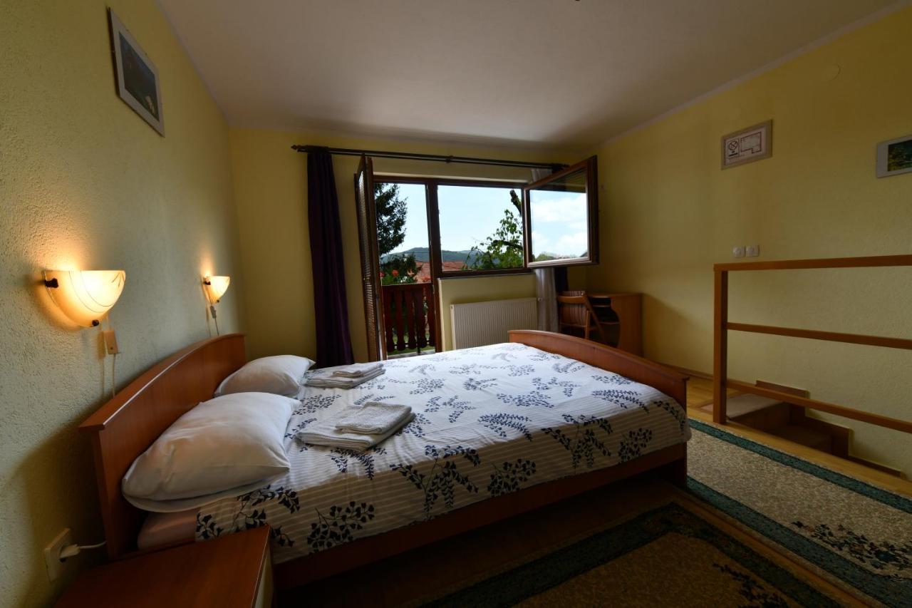 Guesthouse Ante Hodak セリステ・ドゥレズニツコ エクステリア 写真