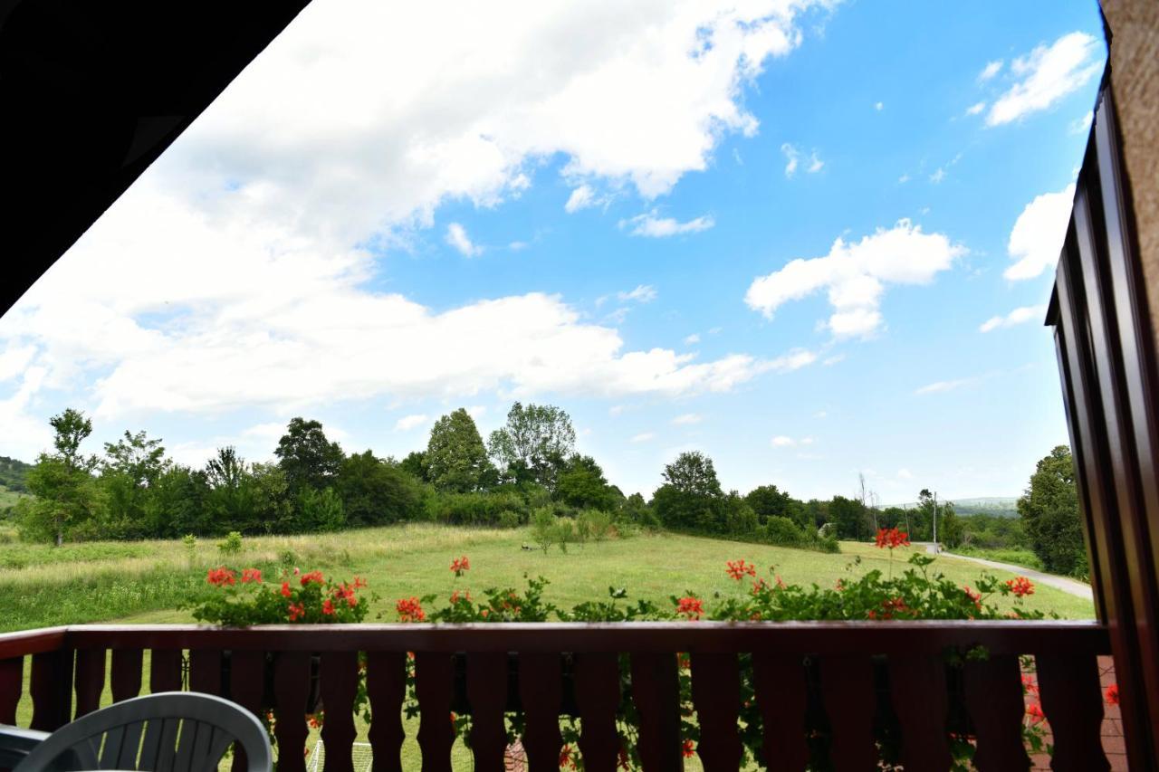 Guesthouse Ante Hodak セリステ・ドゥレズニツコ エクステリア 写真