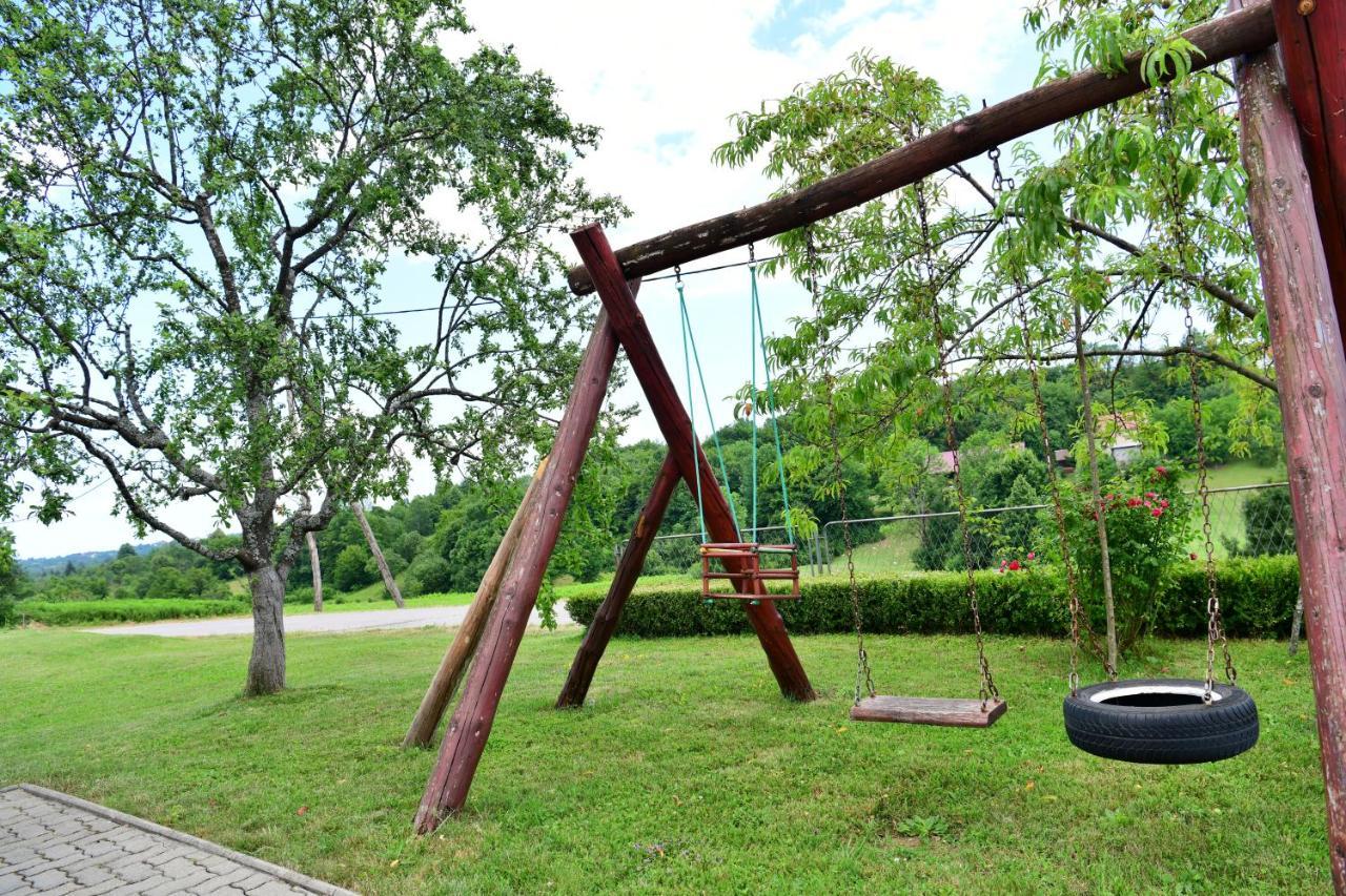 Guesthouse Ante Hodak セリステ・ドゥレズニツコ エクステリア 写真