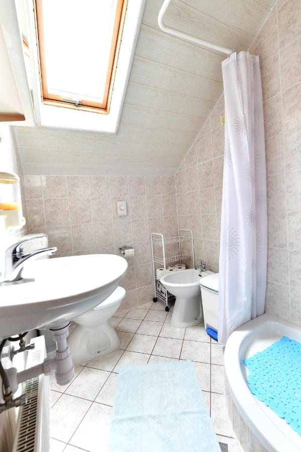 Guesthouse Ante Hodak セリステ・ドゥレズニツコ エクステリア 写真